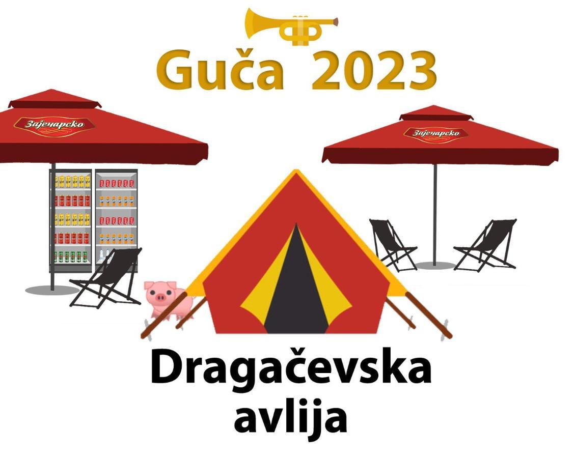 Отель Dragacevska Avlija - Camp Гуча Экстерьер фото